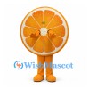 Orange Slice Mascot Costume with Round Citrus Section Design