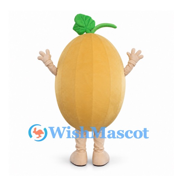 Melon Mascot Costume with Green Leaf Stem