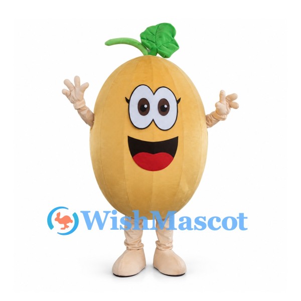Melon Mascot Costume with Green Leaf Stem