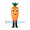 Carrot Mascot Costume with Long Body and Green Top