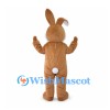 Rabbit Mascot Costume in Brown with White Belly