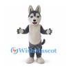 Husky Mascot Costume in Gray and White with Upright Ears