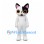 Cat Mascot Costume in Black and White with Large Orange Eyes