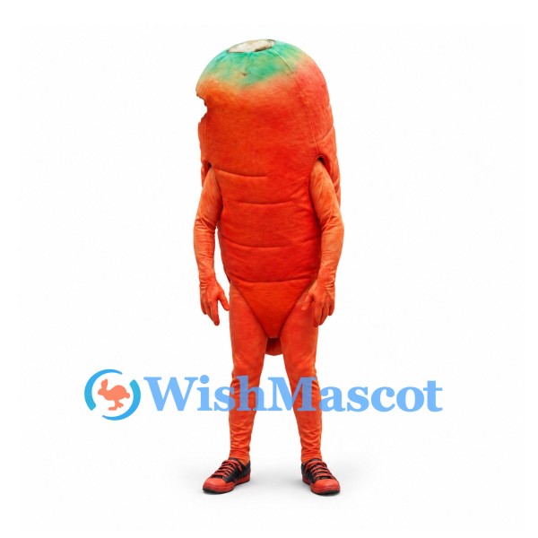 Carrot Mascot Costume in Orange with Green Top