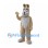 Rabbit Mascot Costume in Brown with Gray Belly