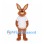 Rabbit Mascot Costume in Brown with White T-Shirt