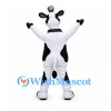 Cow Mascot Costume in Black and White with Gold Bell